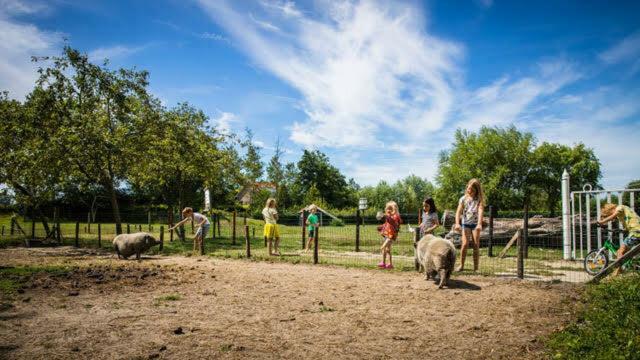 Vakantiewoning - Kon. Emmaweg 26 | Vrouwenpolder 'Uitspanning Oranjezon' Extérieur photo
